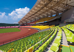 Confair-H2® Pieghevole Stadio Pain-stopper